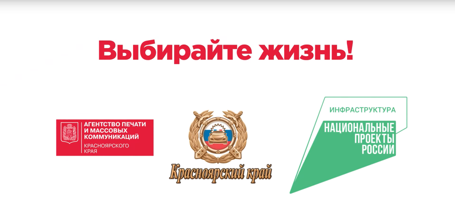 Пропаганда безопасности дорожного движения Пропаганда безопасности дорожного движения.